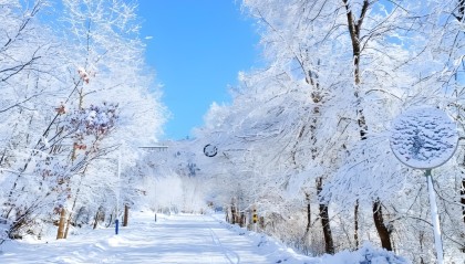 开云投注-温馨！零下37度，胡明轩冰天雪地中，给球迷签名
