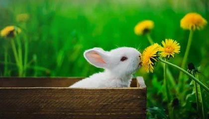 开云投注-周冠宇成为F1凯迪拉克车队储备车手